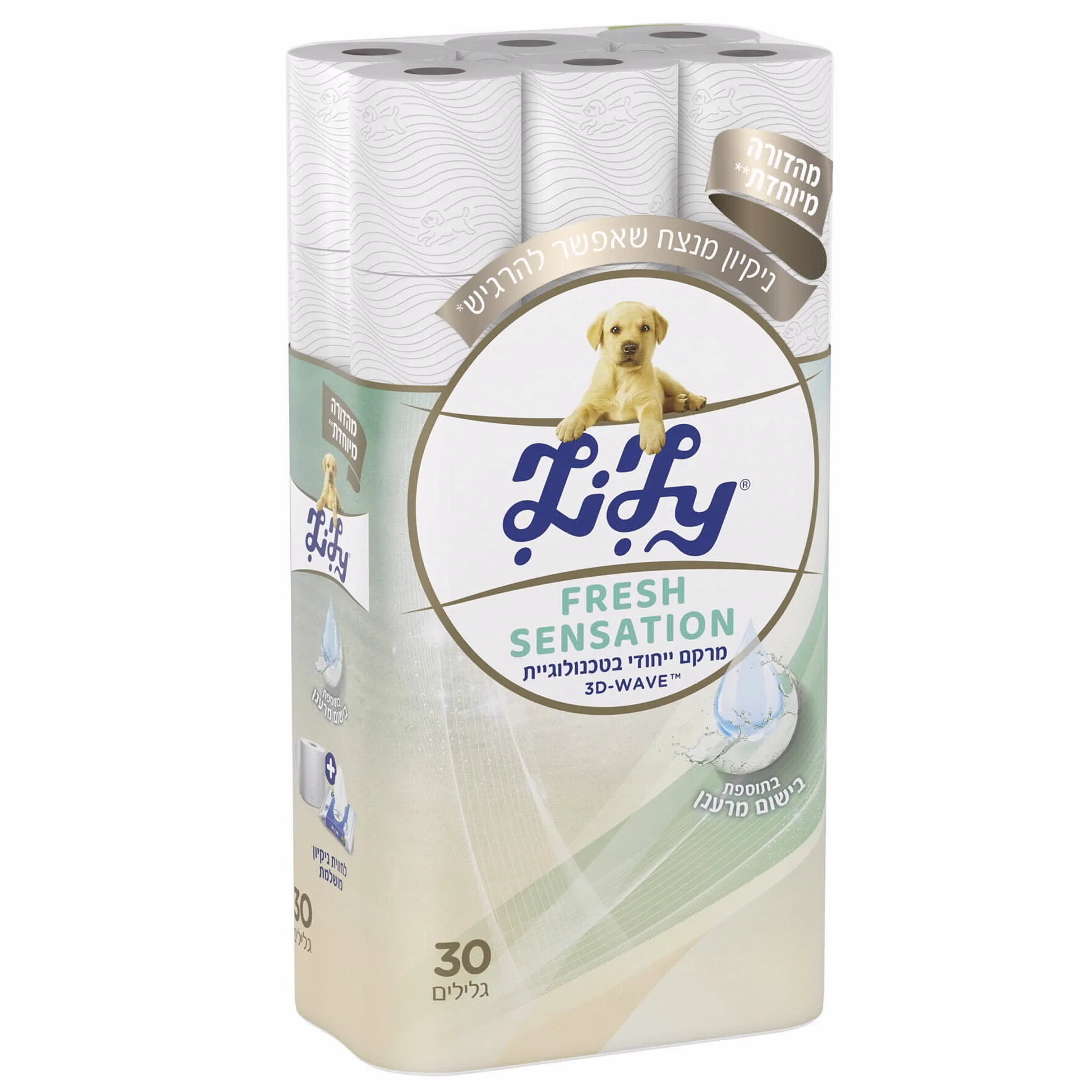 תמונה ממוזערת 1