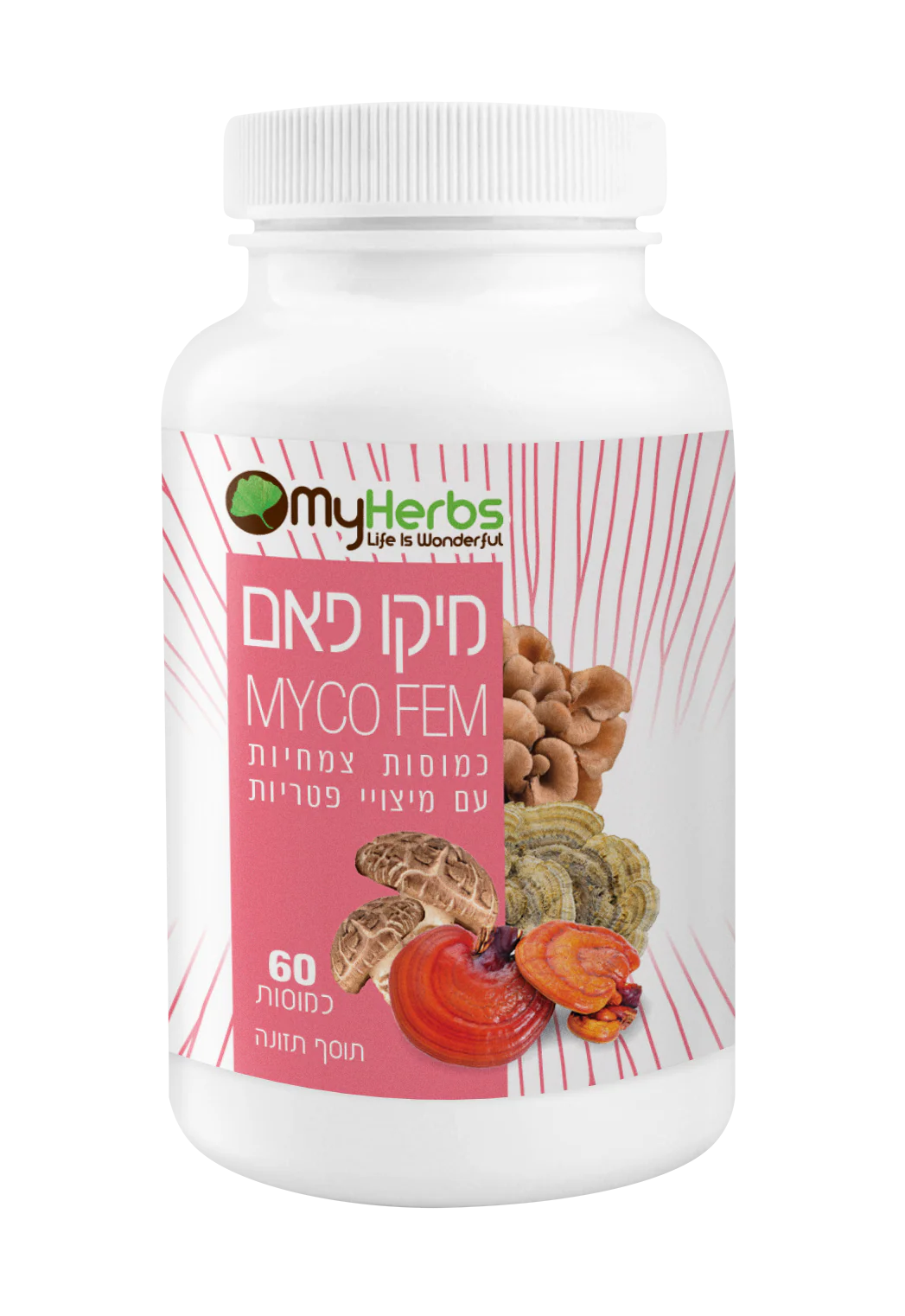 חדש על המדף