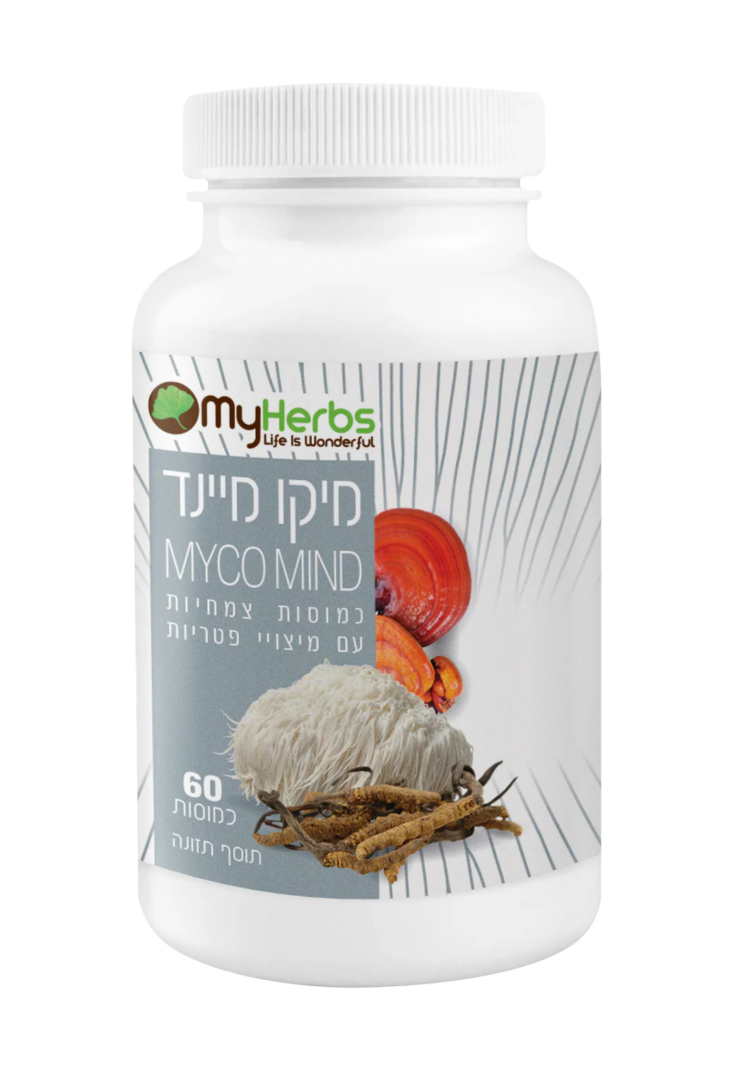 תמונת מוצר 1