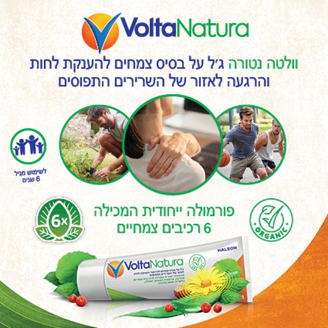 תמונה ממוזערת 3