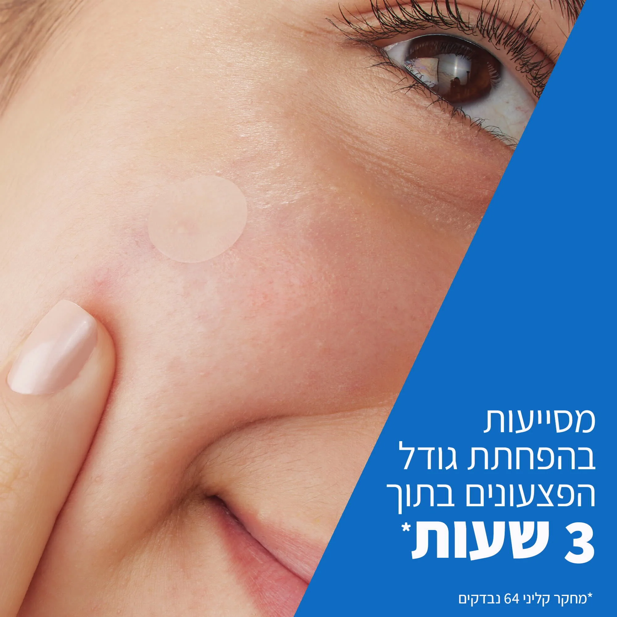 תמונה ממוזערת 2