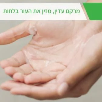 תמונה ממוזערת 2