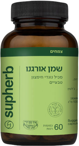 תמונה ממוזערת 2