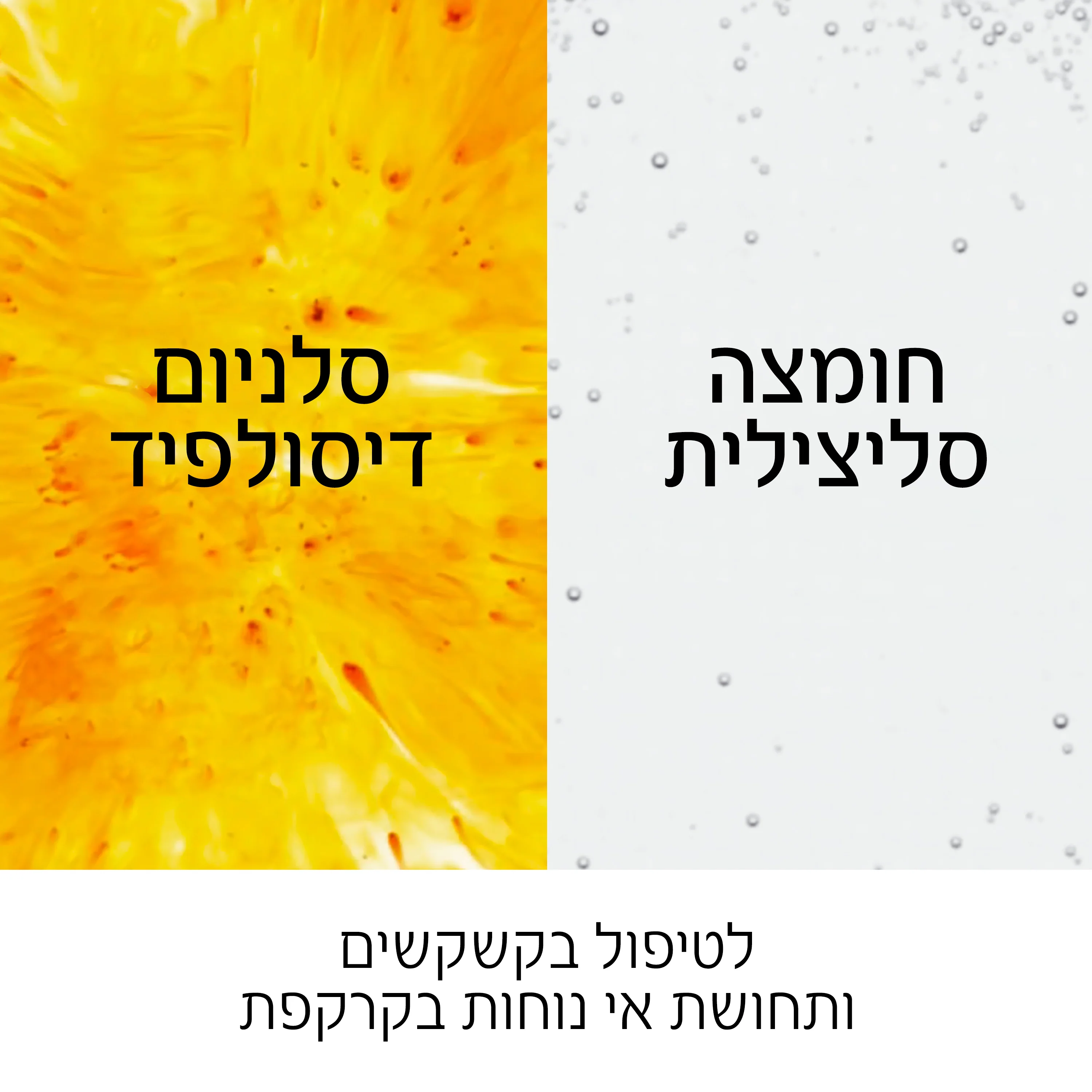 תמונה ממוזערת 6