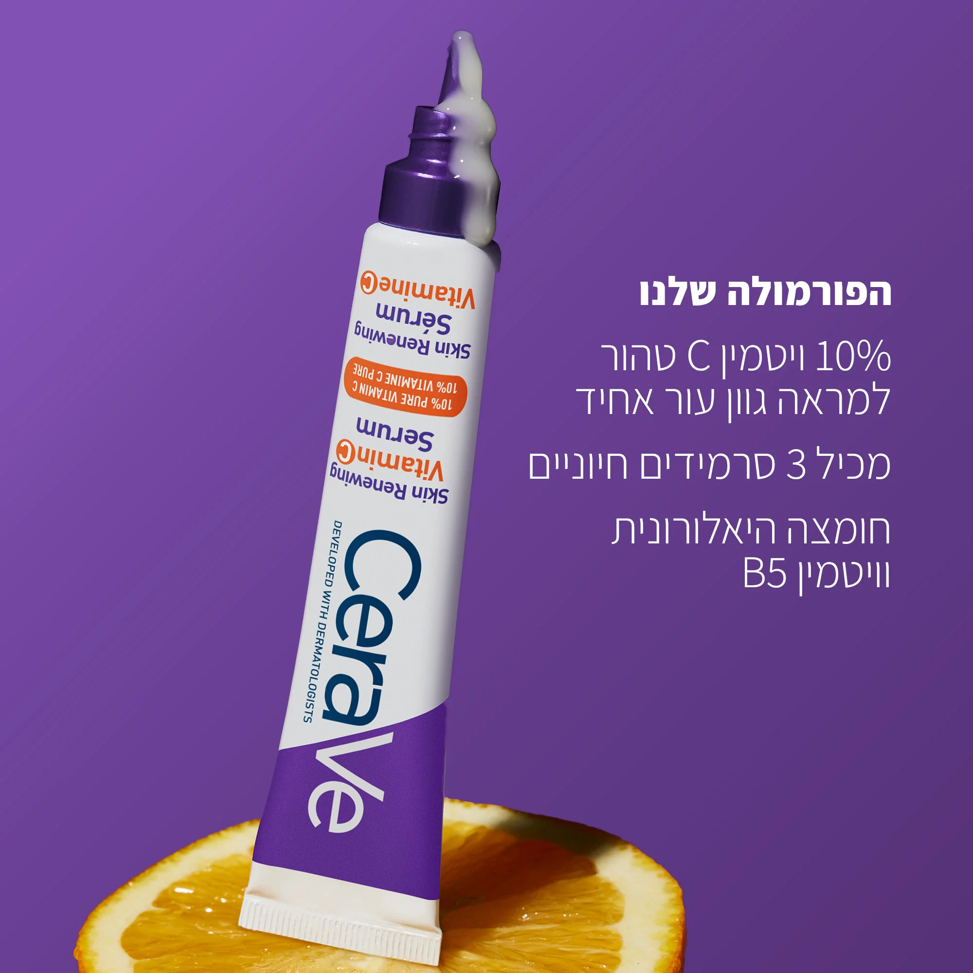 תמונה ממוזערת 2