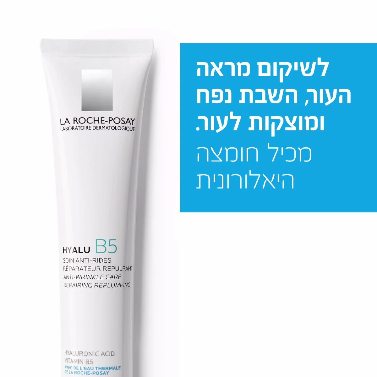 תמונה ממוזערת 2