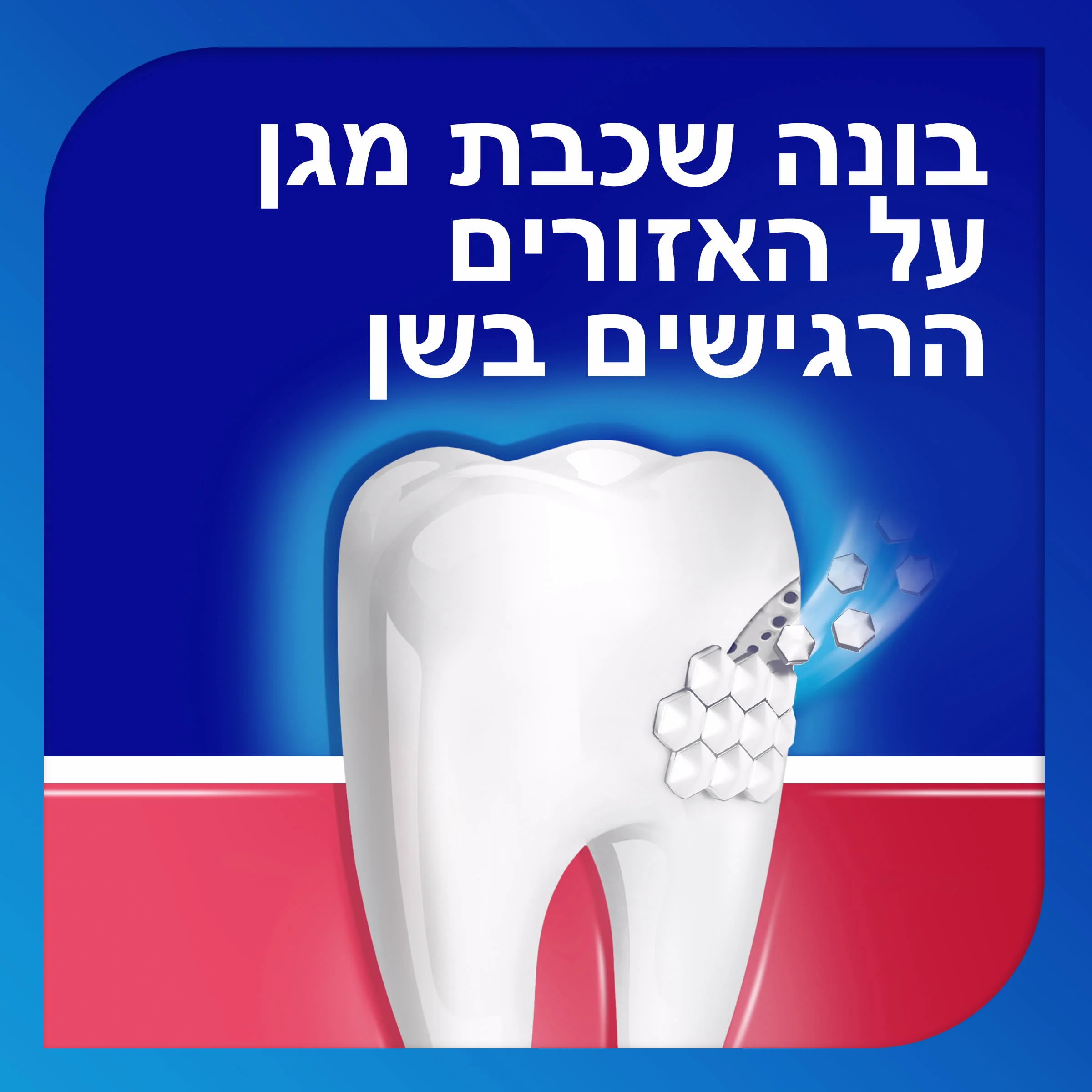 תמונה ממוזערת 5