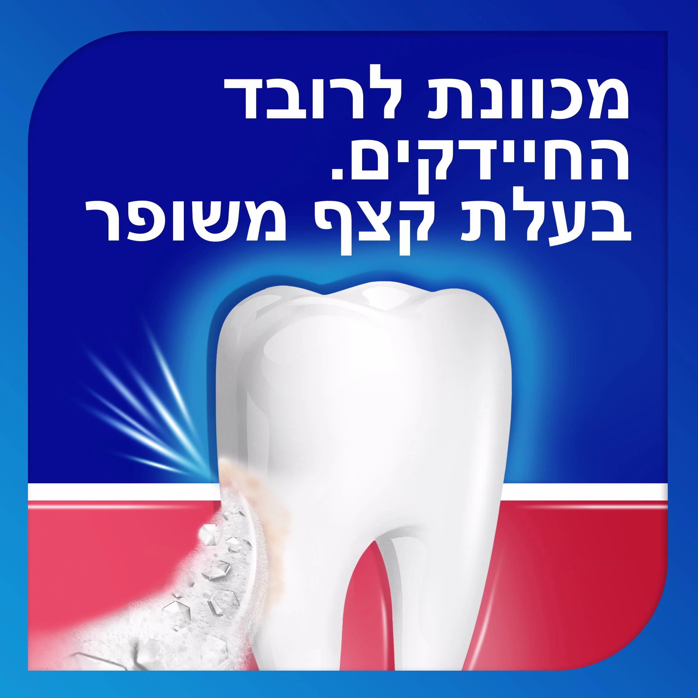 תמונה ממוזערת 3