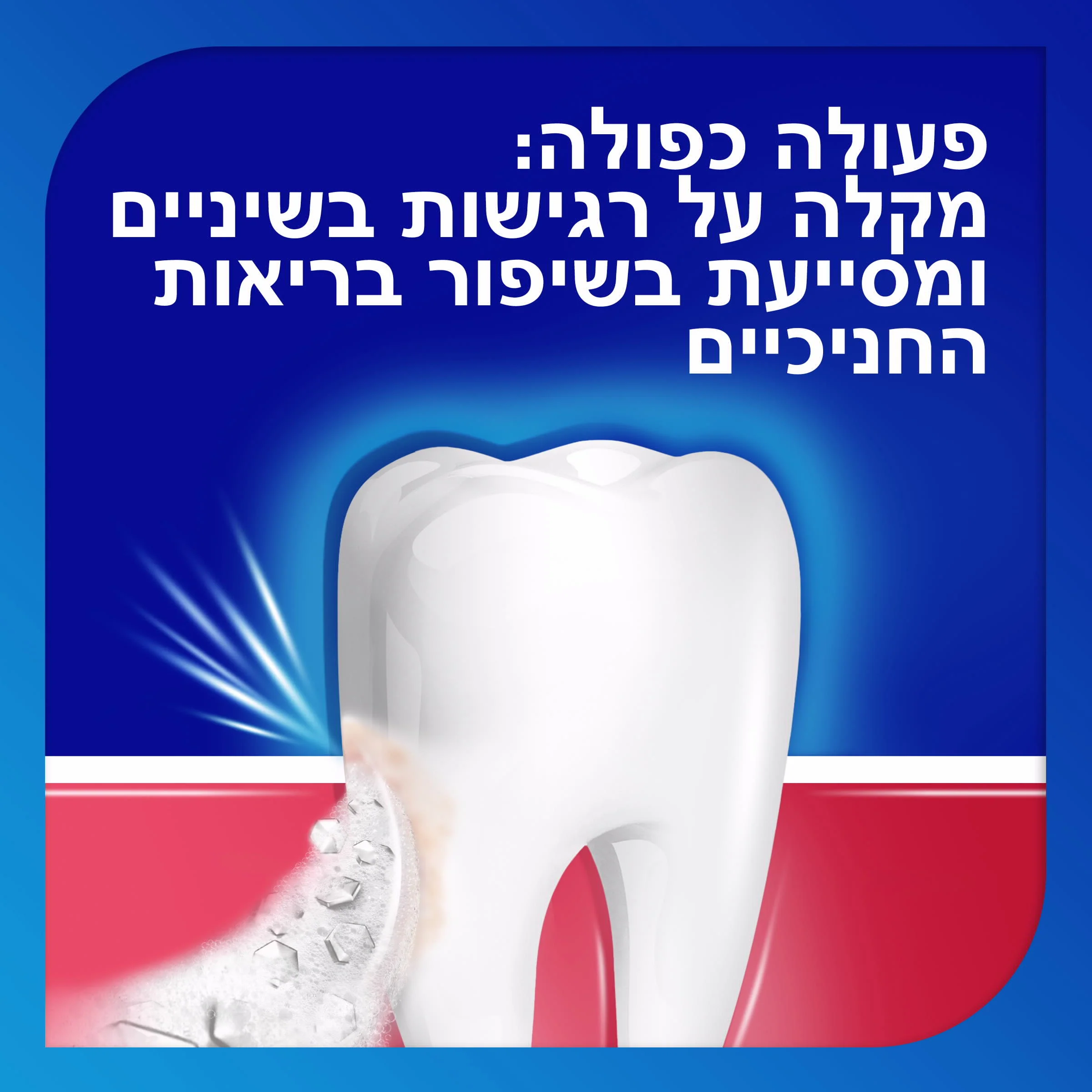 תמונה ממוזערת 4