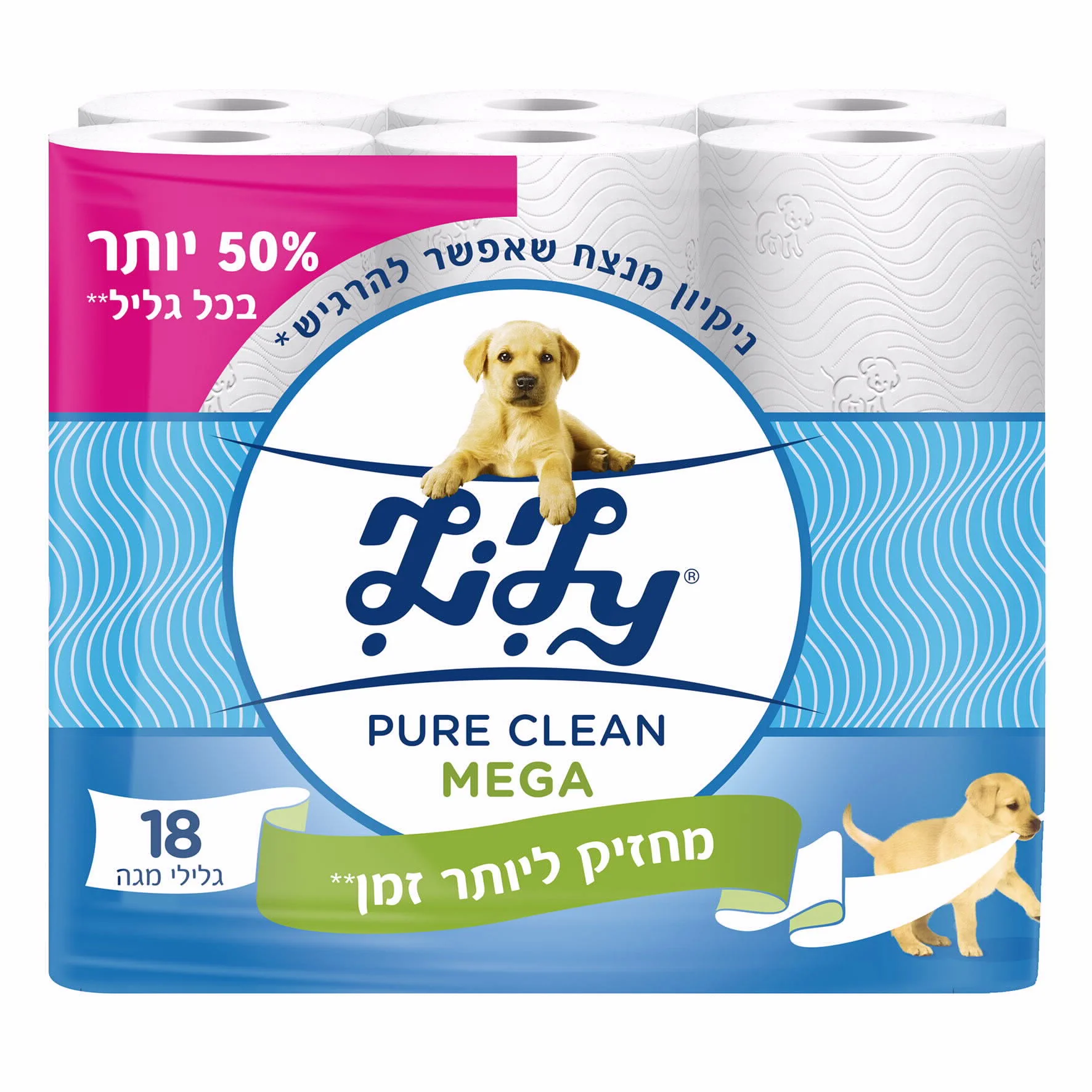 תמונה ממוזערת 1