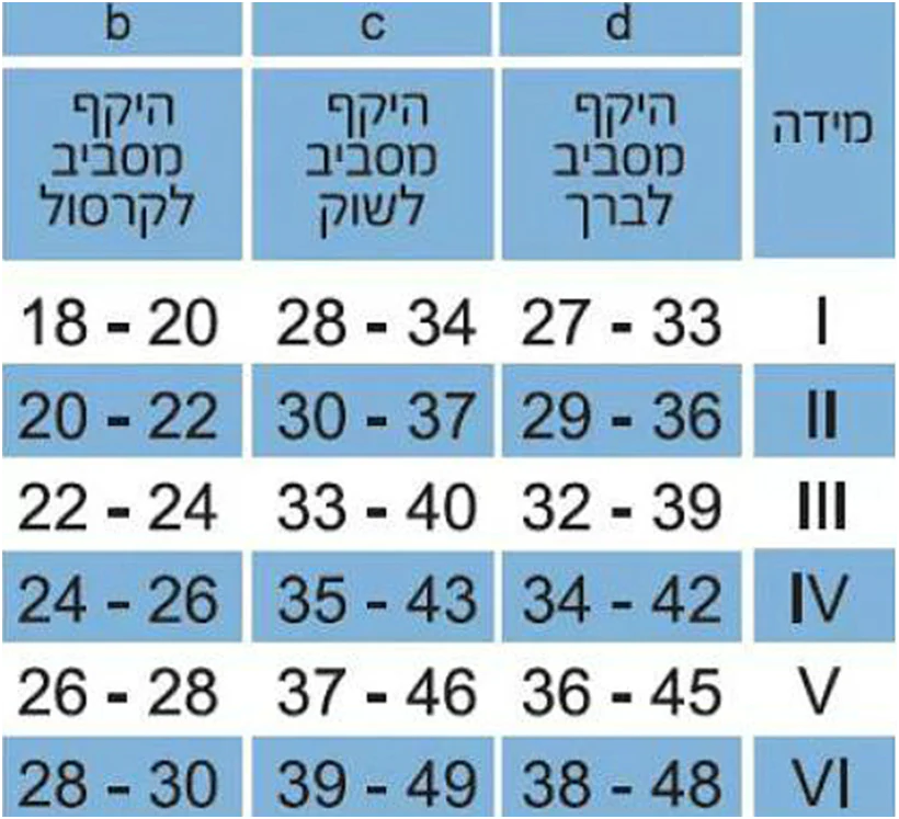 תמונה ממוזערת 3