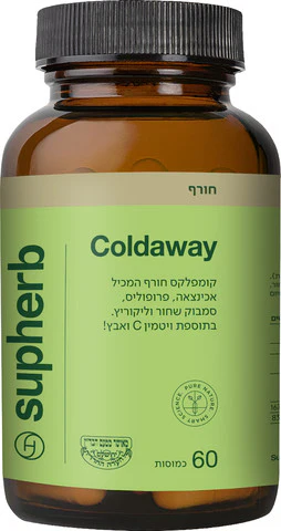 תמונה ממוזערת 3