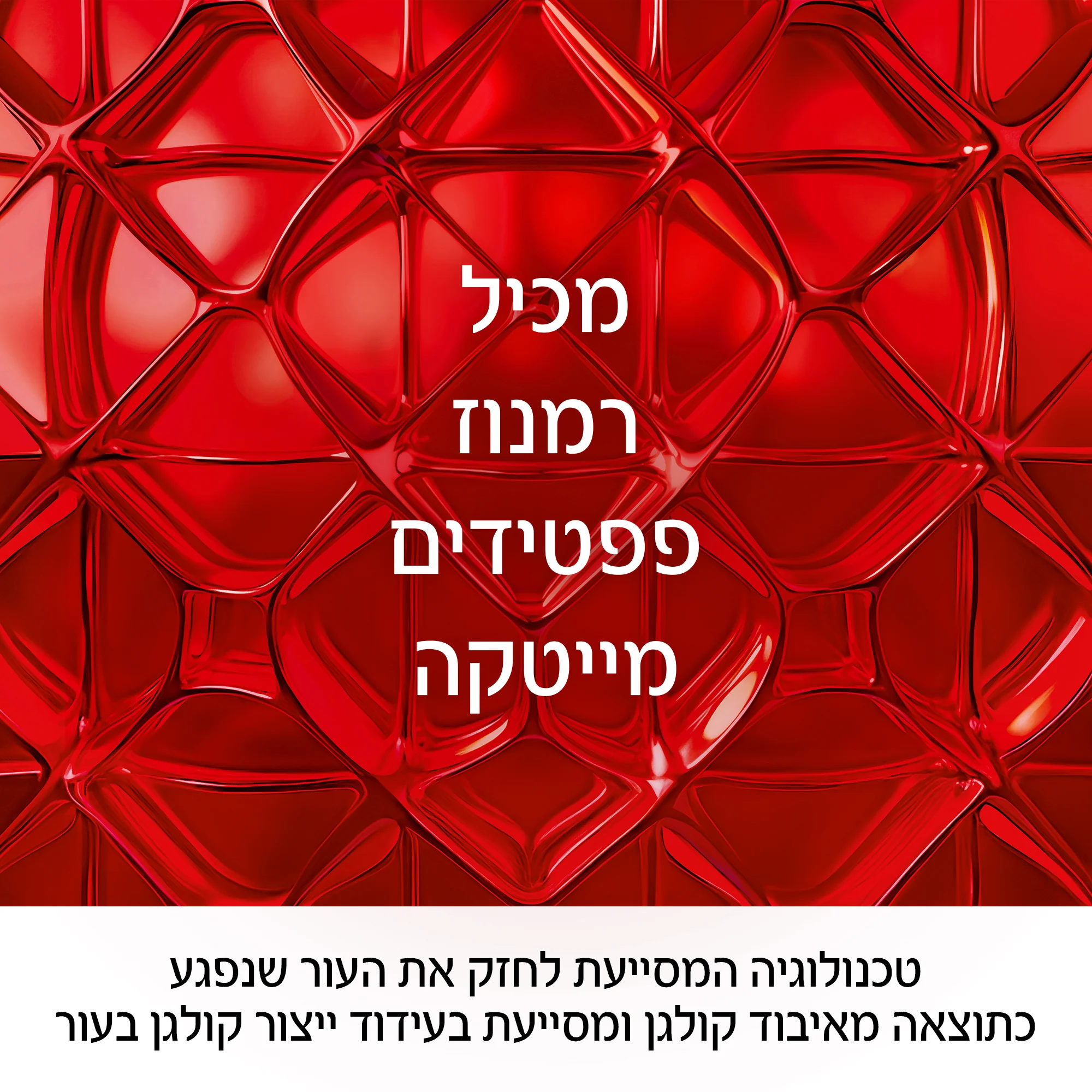 תמונה ממוזערת 5