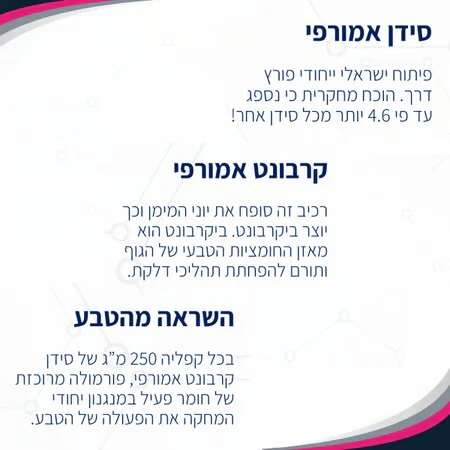 תמונה ממוזערת 4